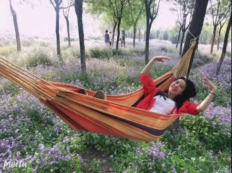 Suwannee Phianphatthanawit Profile image 1